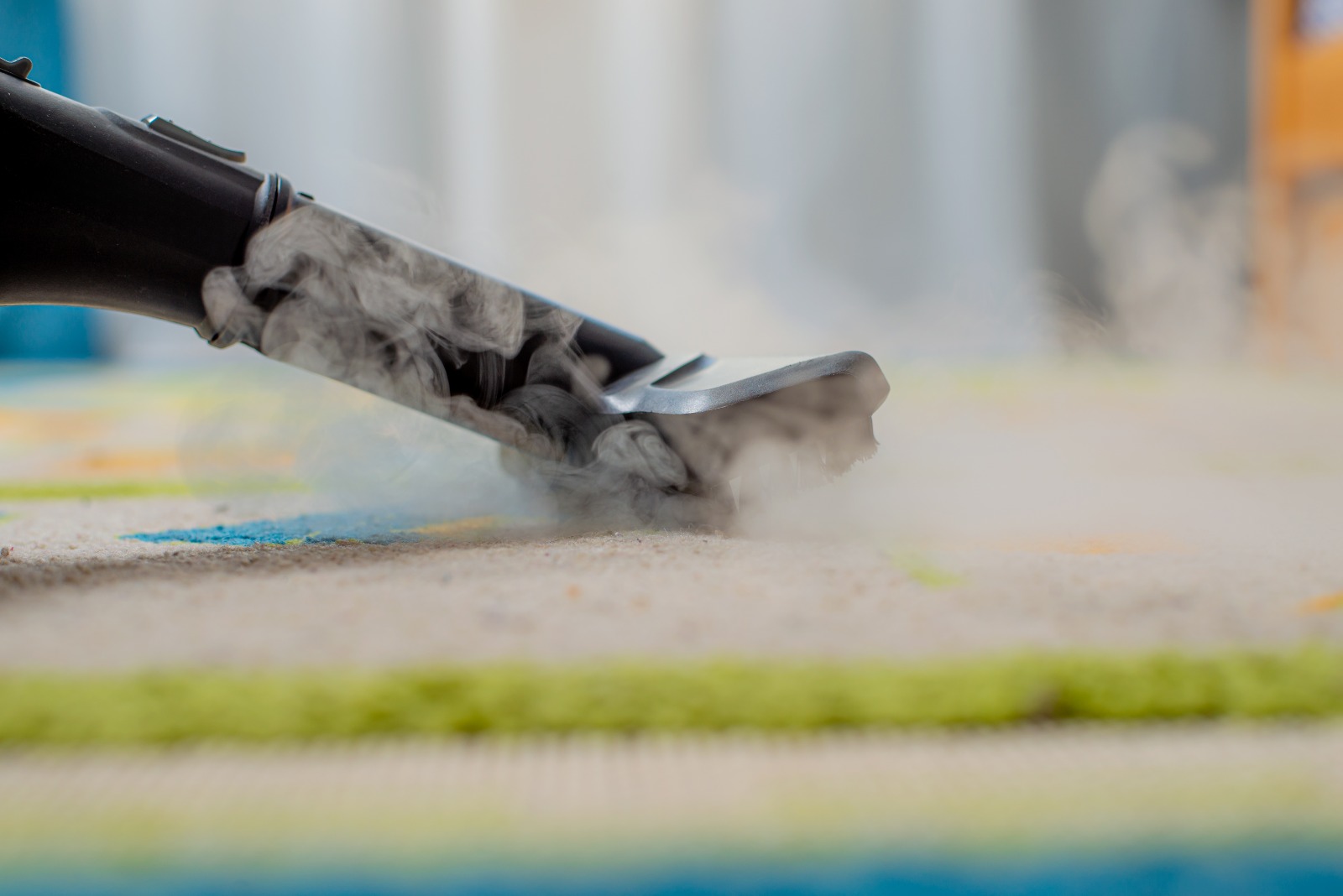 Professional carpet steam cleaning service