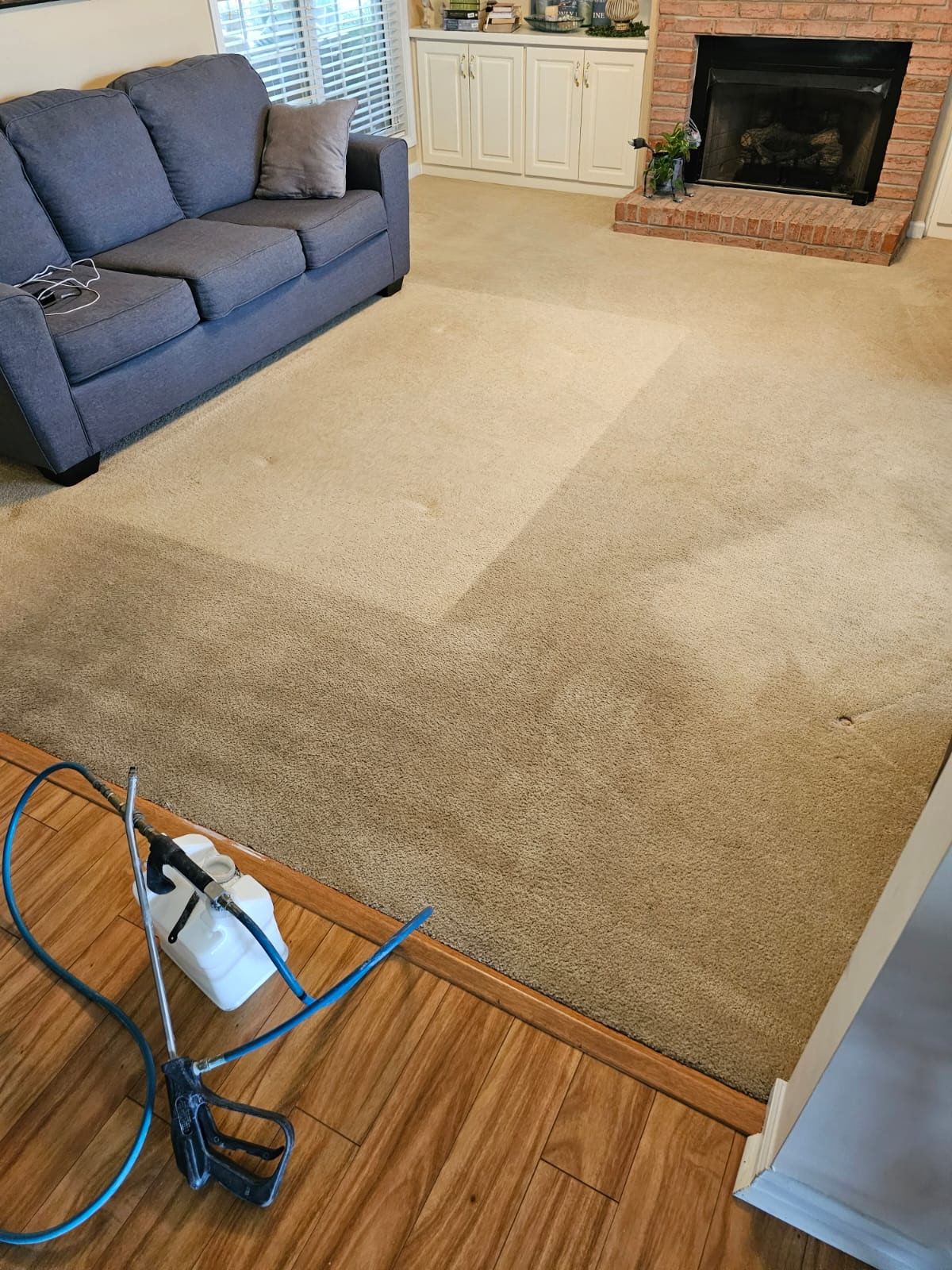Before living room carpet and upholstery cleaning