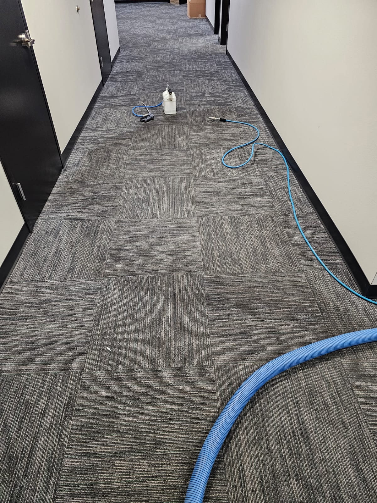 After hallway carpet cleaning with cleaner traffic lanes
