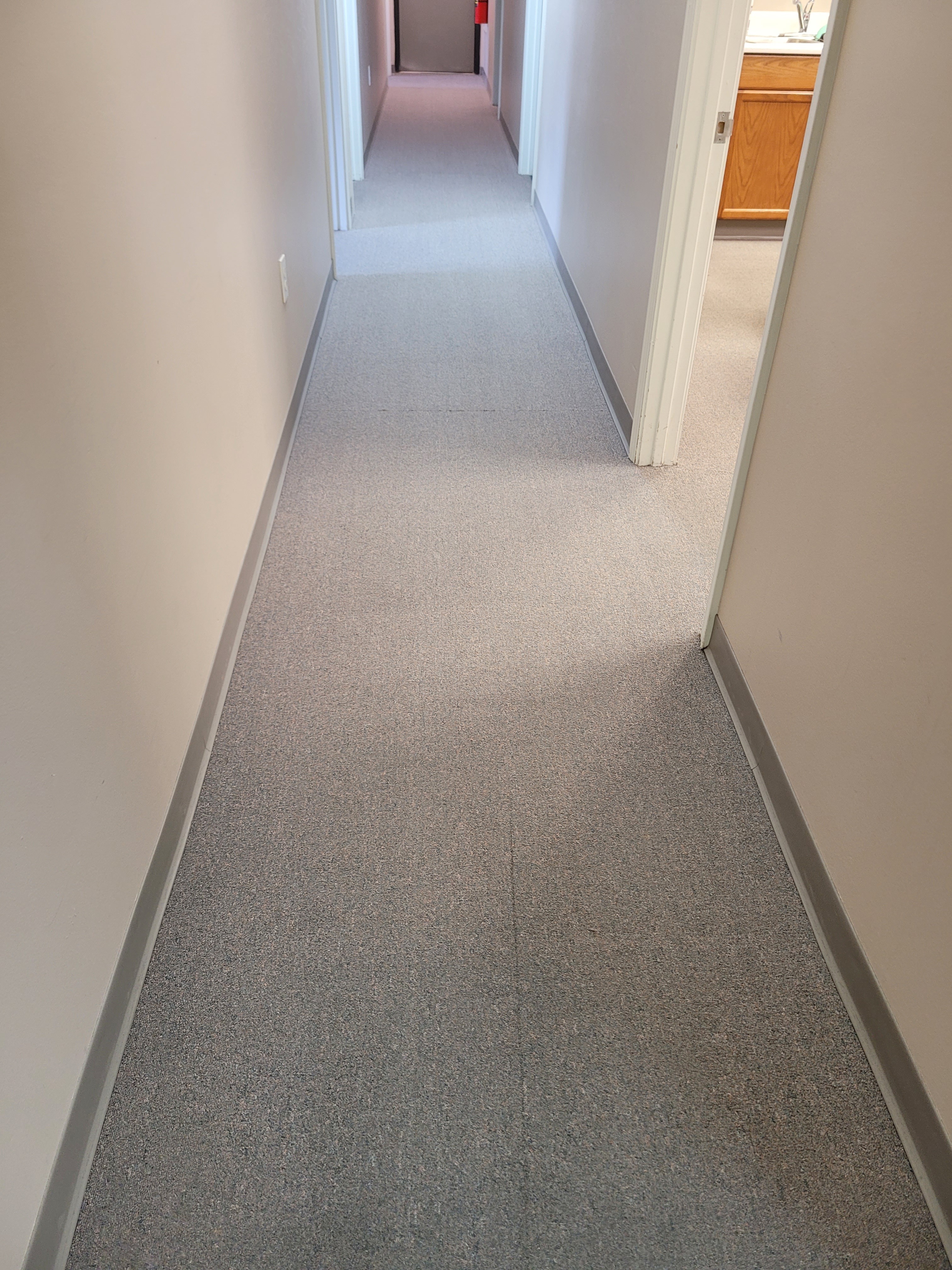 Carpet cleaning in Rockdale County before cleaning