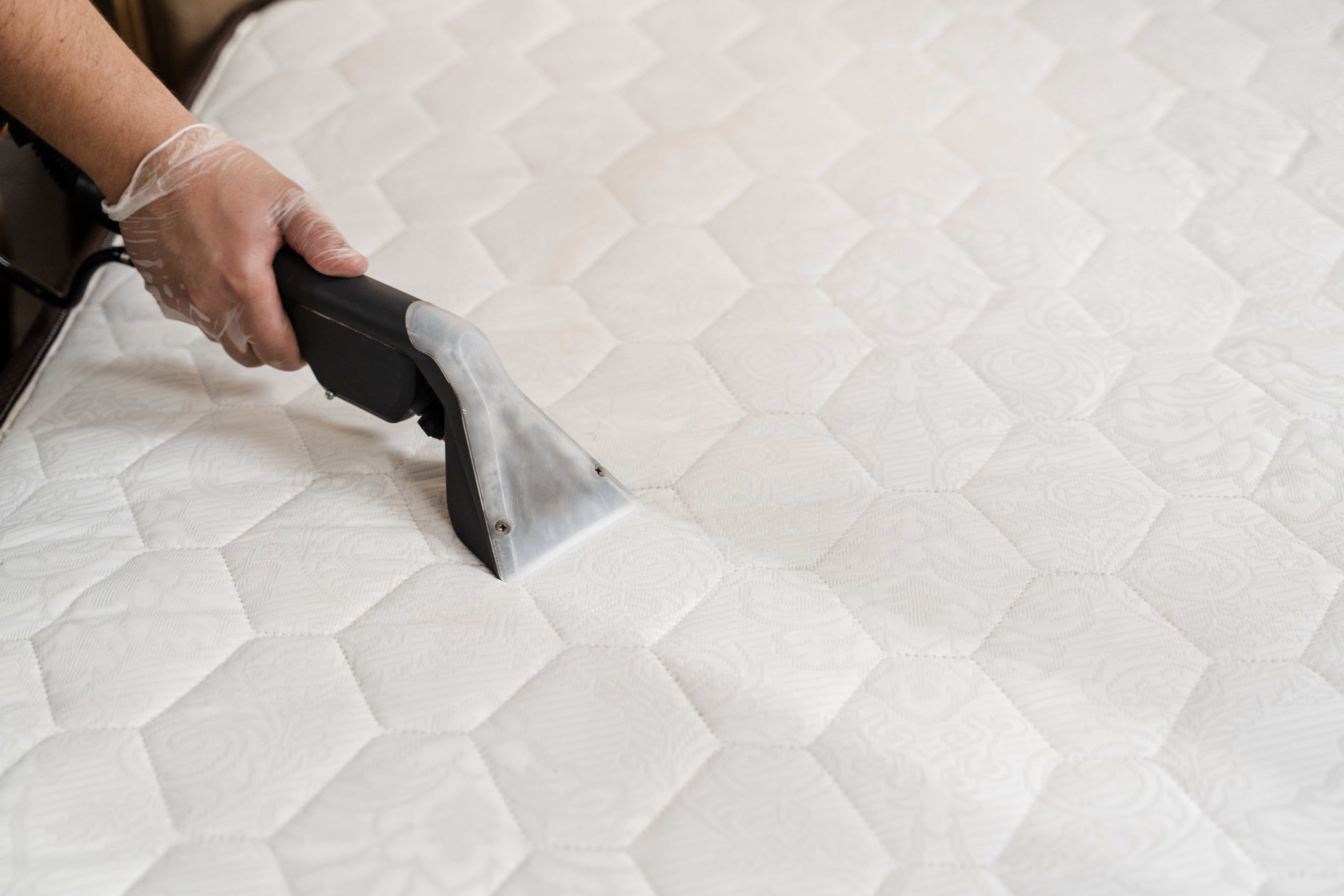 Mattress sanitizing and stain treatment