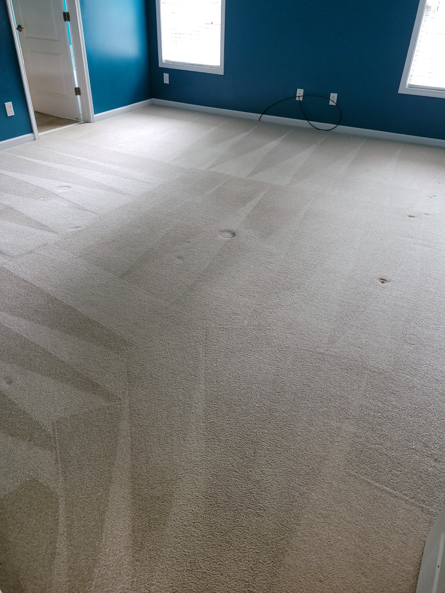 Freshly steam-cleaned bedroom carpet with vacuum lines