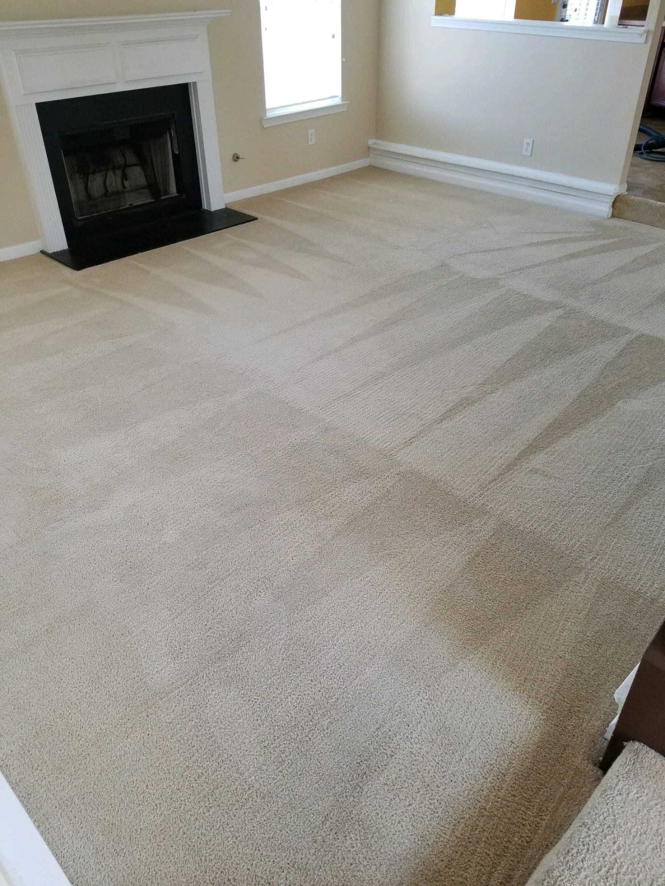 Living room carpet restored to a clean uniform finish