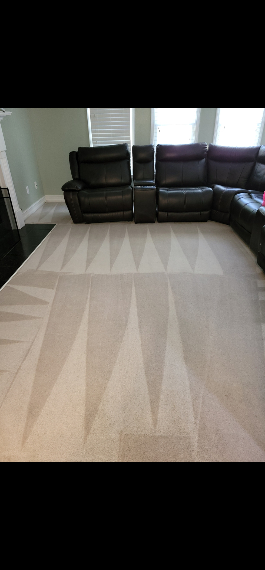 Plush carpet with crisp vacuum stripes after deep cleaning